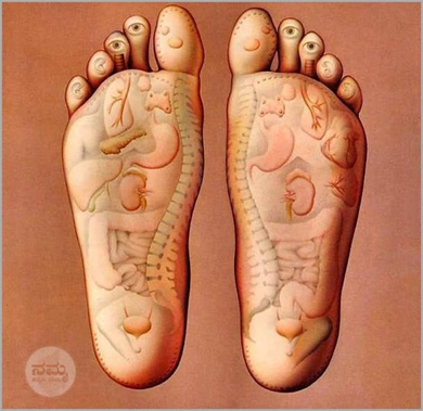 Feet